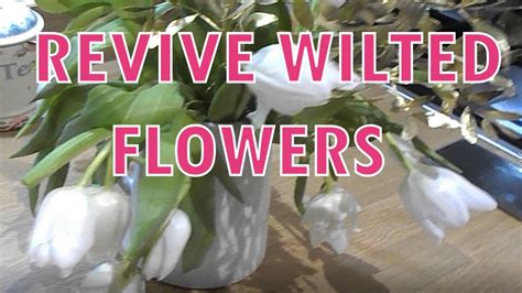 how to revive cut flowers and the importance of hydration in maintaining health