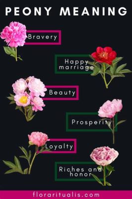 peonies flowers meaning: The delicate beauty of peonies often carries more than just visual appeal; they can symbolize elegance and grace in various cultures.