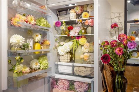 should i keep flowers in the fridge, and would it preserve their beauty in an unexpected way?