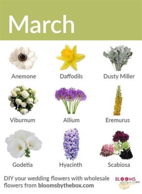 What Flowers Bloom in March and The Intricacies of Seasonal Blooms in Literature