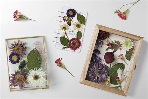 What to Do With Dead Flowers You Want to Keep, and Creative Ways to Preserve Their Memory